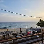 Elea 7 Ελιά Λακωνίας