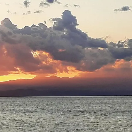 Elea 7 Elia (Laconia)