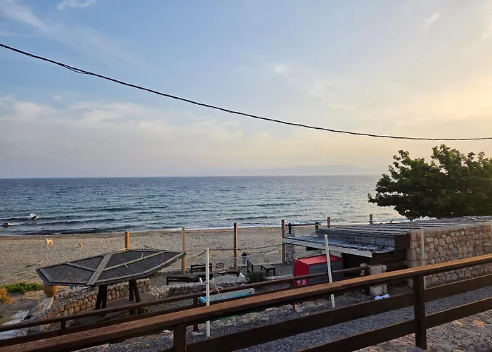 Elea 7 إيليا لاكونياس