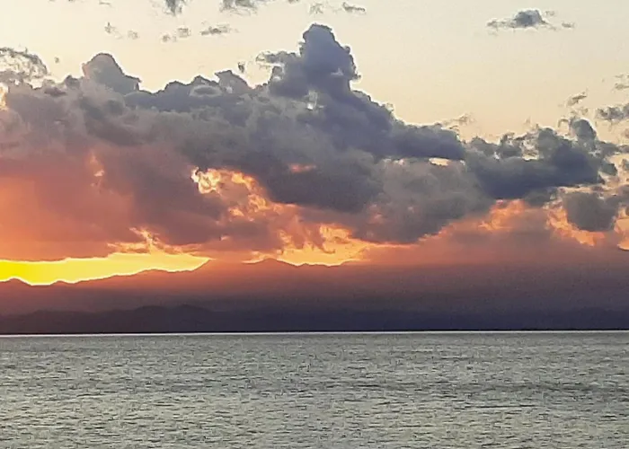 Elea 7 إيليا لاكونياس